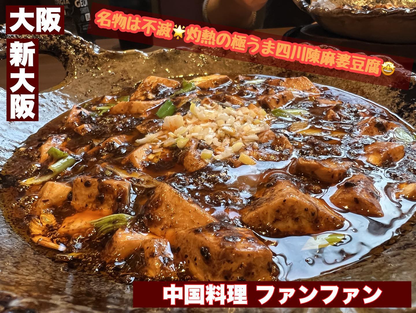 四川陳麻婆豆腐で有名な本格中華料理店 ファンファン