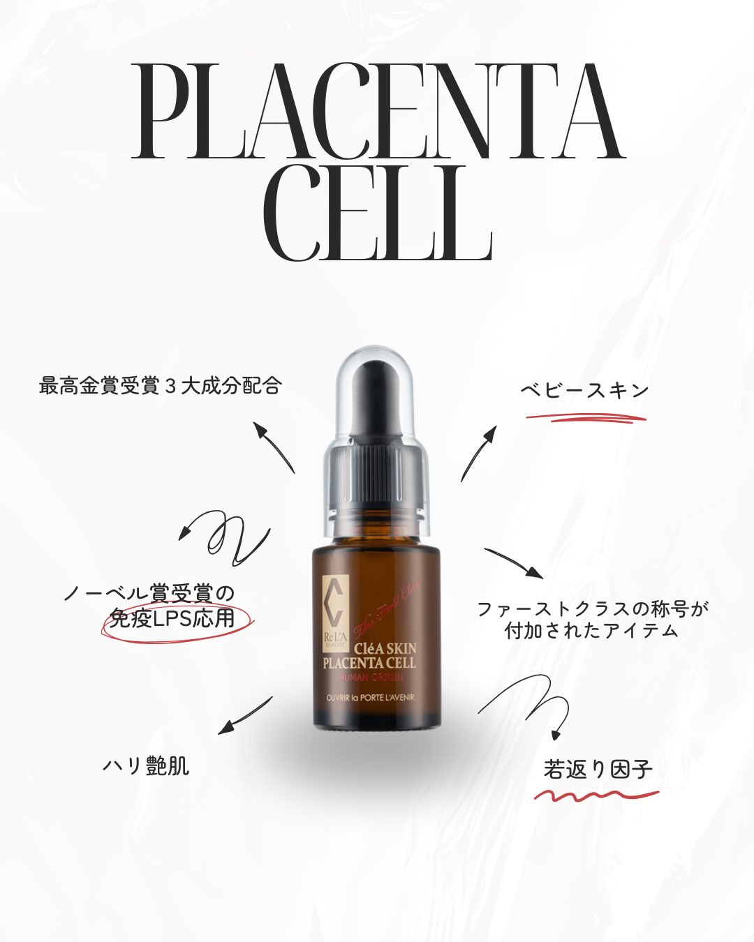 ギャラリー | RE L'ABEAUTE（リアボーテ）