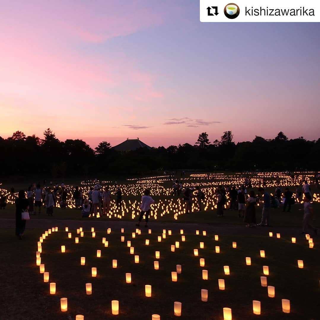 なら燈花会 Npoなら燈花会