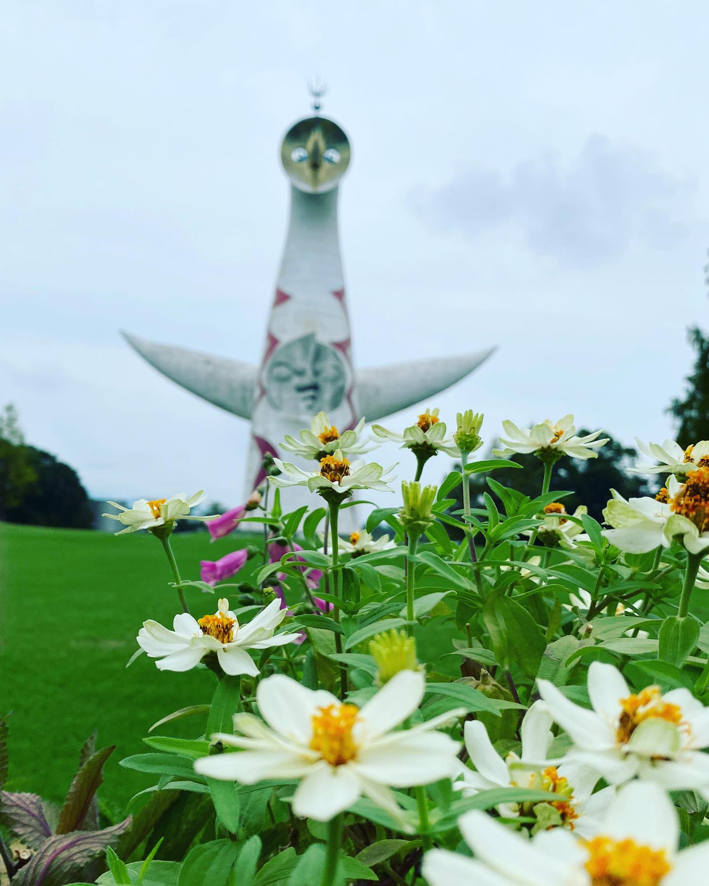 やったねの木 大型すべり台 万博記念公園